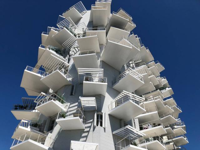 Arbre Blanc - Montpellier