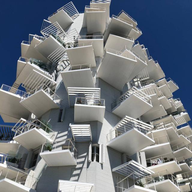 Arbre Blanc - Montpellier