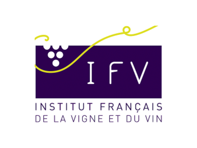 Logo IFV