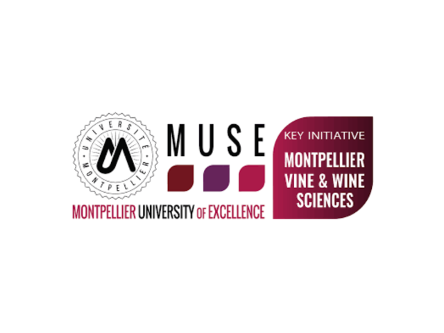 logo montpellier vine & wine sciences